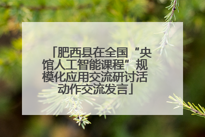 肥西县在全国“央馆人工智能课程”规模化应用交流研讨活动作交流发言