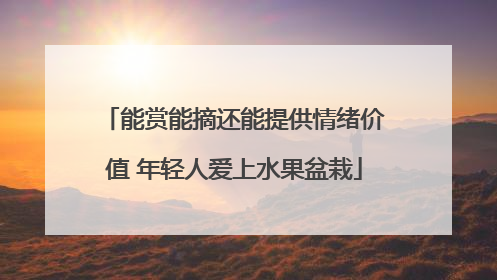 能赏能摘还能提供情绪价值 年轻人爱上水果盆栽
