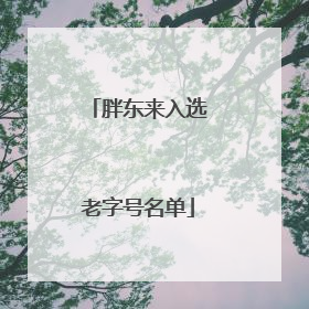 胖东来入选老字号名单