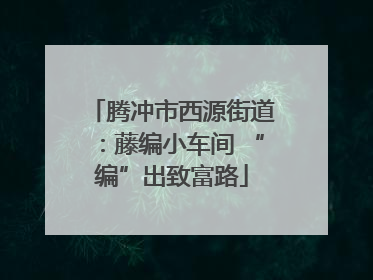 腾冲市西源街道：藤编小车间 “编”出致富路