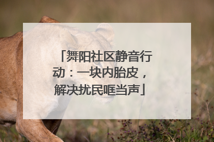 舞阳社区静音行动：一块内胎皮，解决扰民哐当声