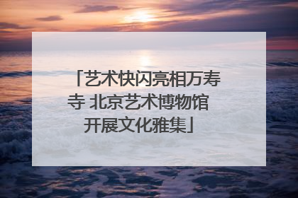 艺术快闪亮相万寿寺 北京艺术博物馆开展文化雅集
