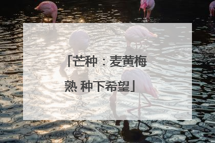 芒种：麦黄梅熟 种下希望
