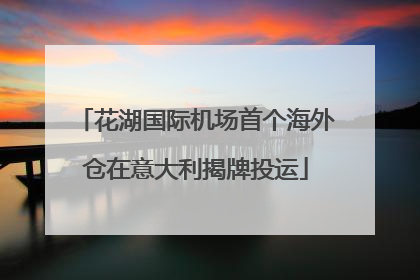 花湖国际机场首个海外仓在意大利揭牌投运