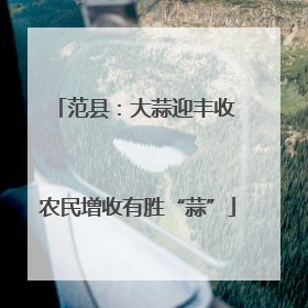 范县：大蒜迎丰收 农民增收有胜“蒜”