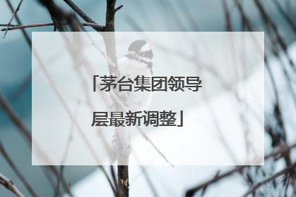 茅台集团领导层最新调整