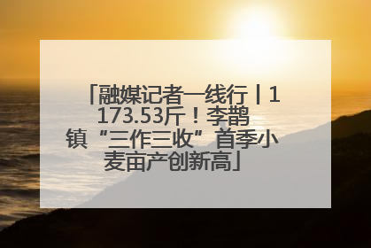 融媒记者一线行丨1173.53斤！李鹊镇“三作三收”首季小麦亩产创新高