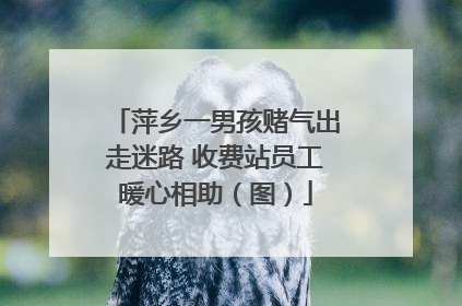 萍乡一男孩赌气出走迷路 收费站员工暖心相助（图）