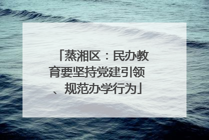 蒸湘区：民办教育要坚持党建引领、规范办学行为