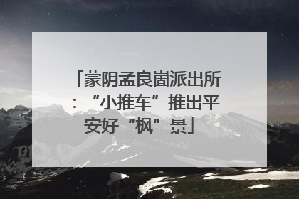 蒙阴孟良崮派出所：“小推车”推出平安好“枫”景