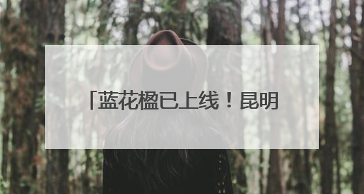 蓝花楹已上线！昆明这个地方化身“紫色梦境”，快来打卡