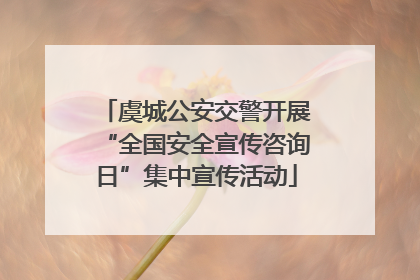 虞城公安交警开展“全国安全宣传咨询日”集中宣传活动