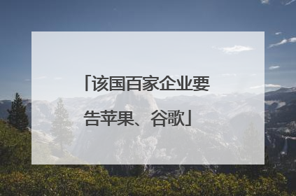 该国百家企业要告苹果、谷歌
