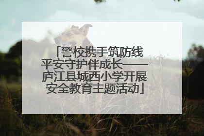 警校携手筑防线 平安守护伴成长——庐江县城西小学开展安全教育主题活动