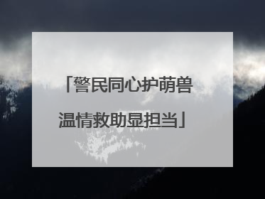 警民同心护萌兽 温情救助显担当