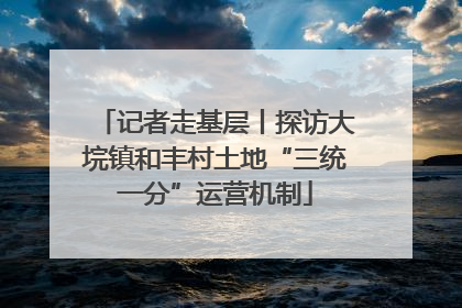 记者走基层丨探访大垸镇和丰村土地“三统一分”运营机制