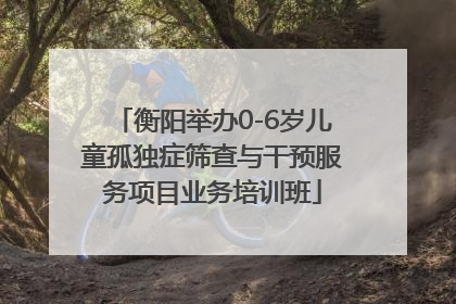 衡阳举办0-6岁儿童孤独症筛查与干预服务项目业务培训班