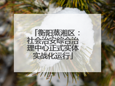 衡阳蒸湘区：社会治安综合治理中心正式实体实战化运行