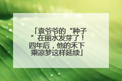 袁爷爷的“种子”在丽水发芽了！四年后，他的禾下乘凉梦这样延续