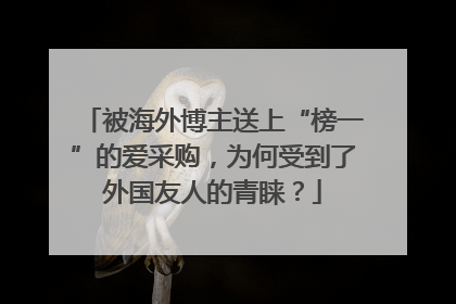 被海外博主送上“榜一”的爱采购，为何受到了外国友人的青睐？