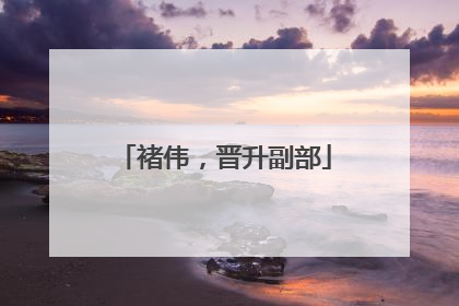 褚伟，晋升副部