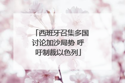 西班牙召集多国讨论加沙局势 呼吁制裁以色列