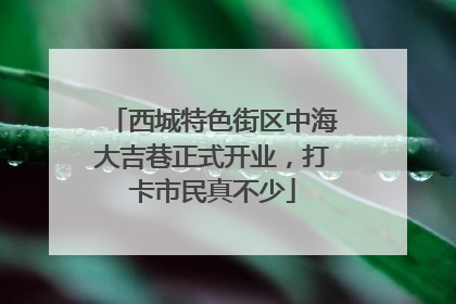 西城特色街区中海大吉巷正式开业，打卡市民真不少