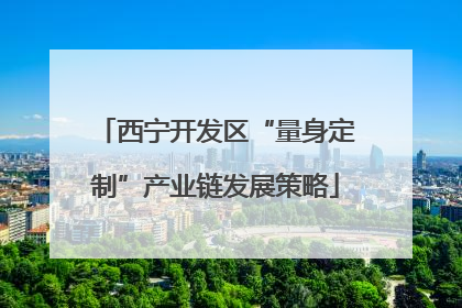 西宁开发区“量身定制”产业链发展策略