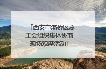 西安市灞桥区总工会组织集体协商现场观摩活动