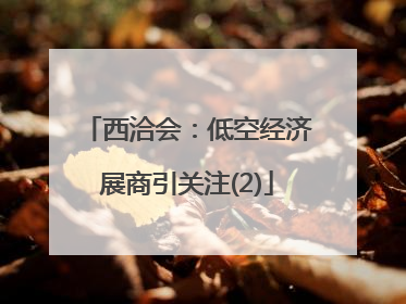 西洽会：低空经济展商引关注(2)