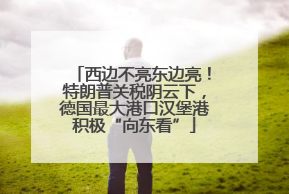 西边不亮东边亮！特朗普关税阴云下，德国最大港口汉堡港积极“向东看”
