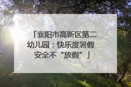 襄阳市高新区第二幼儿园：快乐度暑假 安全不“放假”