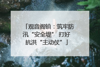 观音阁镇：筑牢防汛“安全堤” 打好抗洪“主动仗”