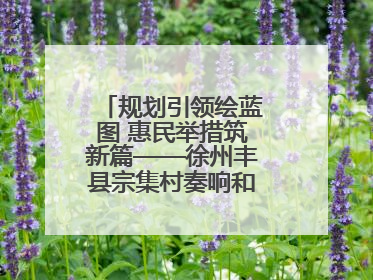 规划引领绘蓝图 惠民举措筑新篇——徐州丰县宗集村奏响和美乡村振兴曲
