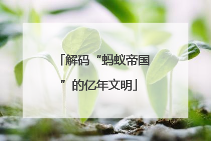 解码“蚂蚁帝国”的亿年文明