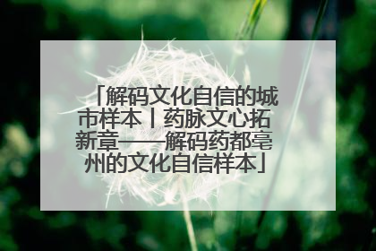 解码文化自信的城市样本丨药脉文心拓新章——解码药都亳州的文化自信样本