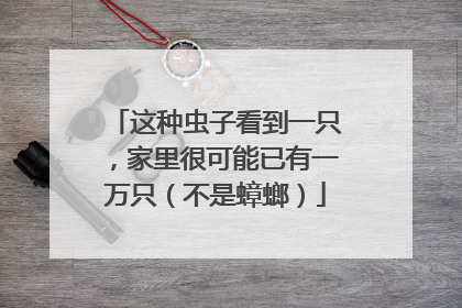 这种虫子看到一只，家里很可能已有一万只（不是蟑螂）