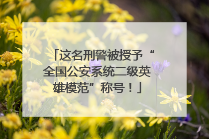 这名刑警被授予“全国公安系统二级英雄模范”称号！