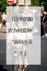 这里的粮农为何爱种“面包小麦”？