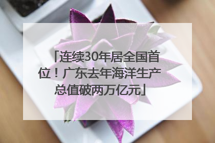 连续30年居全国首位！广东去年海洋生产总值破两万亿元