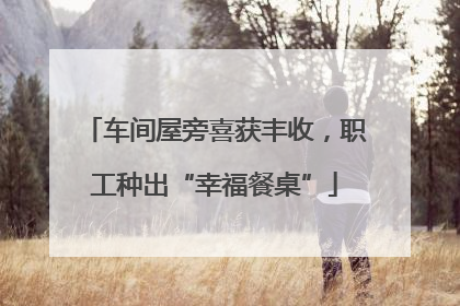 车间屋旁喜获丰收，职工种出“幸福餐桌”