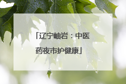 辽宁岫岩：中医药夜市护健康