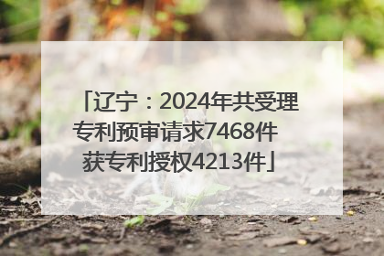 辽宁：2024年共受理专利预审请求7468件 获专利授权4213件