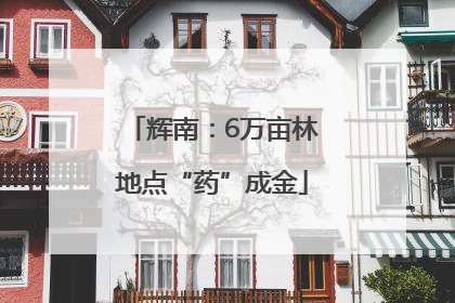 辉南：6万亩林地点“药”成金