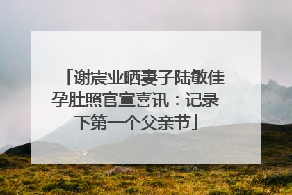 谢震业晒妻子陆敏佳孕肚照官宣喜讯：记录下第一个父亲节