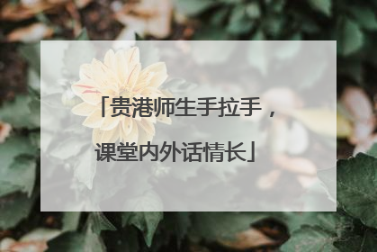 贵港师生手拉手，课堂内外话情长