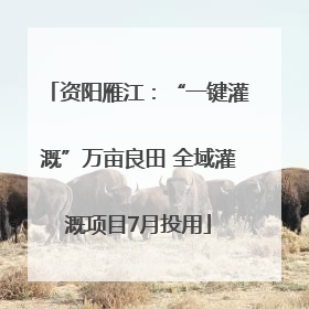 资阳雁江：“一键灌溉”万亩良田 全域灌溉项目7月投用