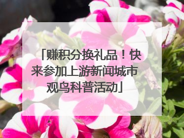 赚积分换礼品！快来参加上游新闻城市观鸟科普活动