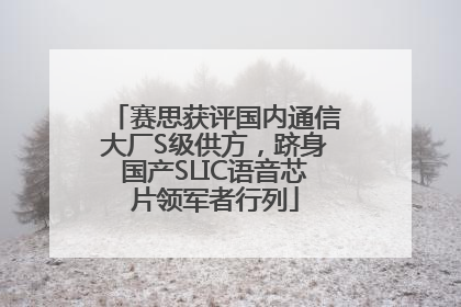 赛思获评国内通信大厂S级供方，跻身国产SLIC语音芯片领军者行列