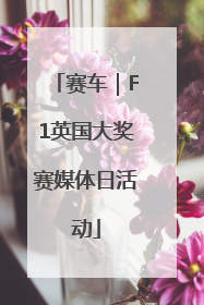 赛车｜F1英国大奖赛媒体日活动